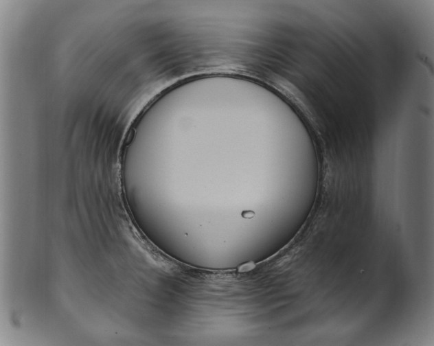 X0000100881332200807111333