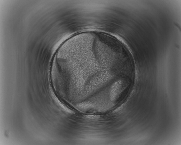 X0000100881333200807111333