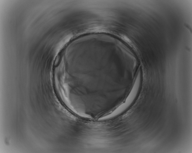 X0000100881334200807111333