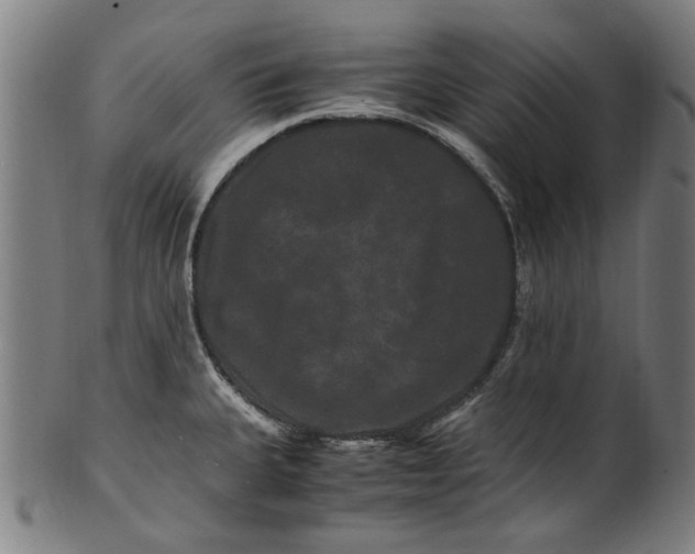 X0000100881335200807111333