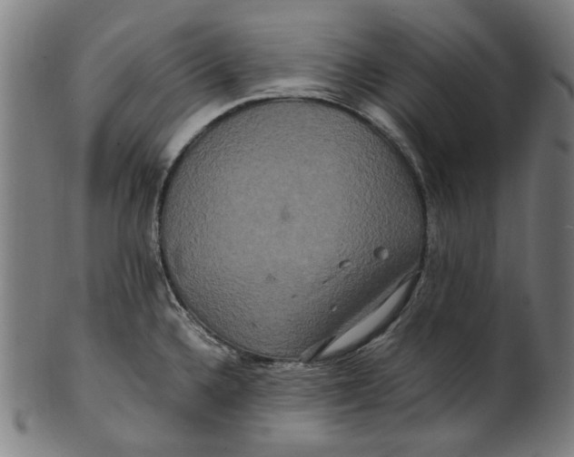 X0000100881336200807111333