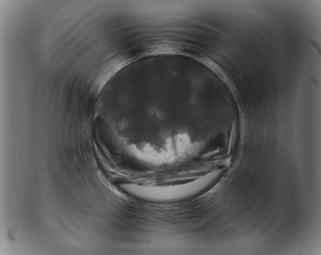 X0000100881337200807111333