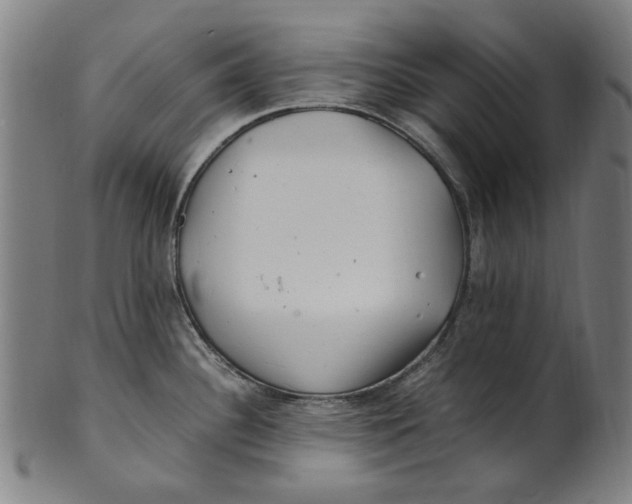 X0000100881340200807111333