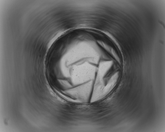 X0000100881341200807111333