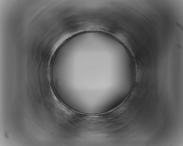 X0000100881342200807111333