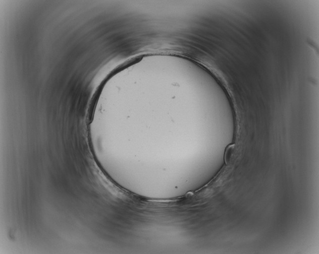 X0000100881344200807111333