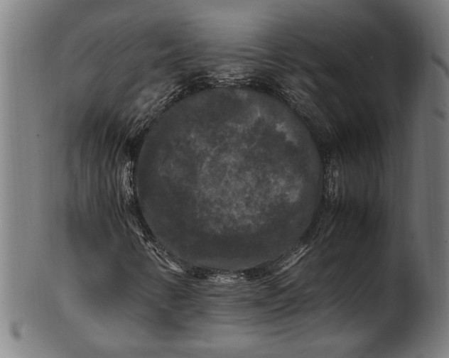 X0000100881346200807111332