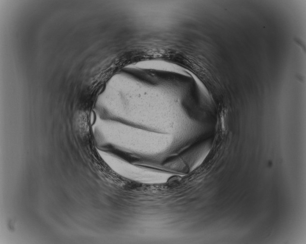 X0000100881347200807111332