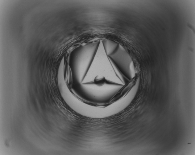 X0000100881348200807111332