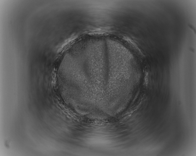 X0000100881350200807111332