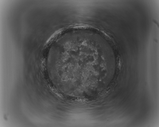 X0000100881351200807111332