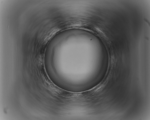 X0000100881353200807111332