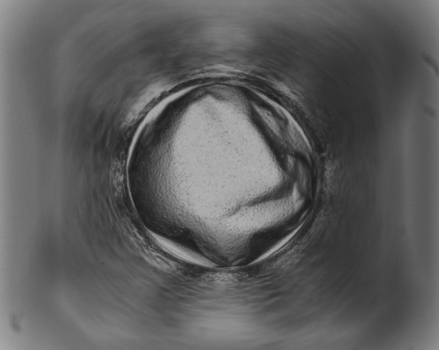 X0000100881355200807111332