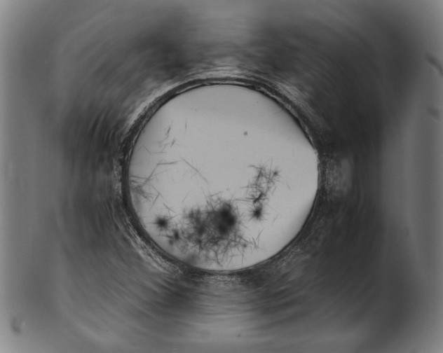 X0000100881356200807111332