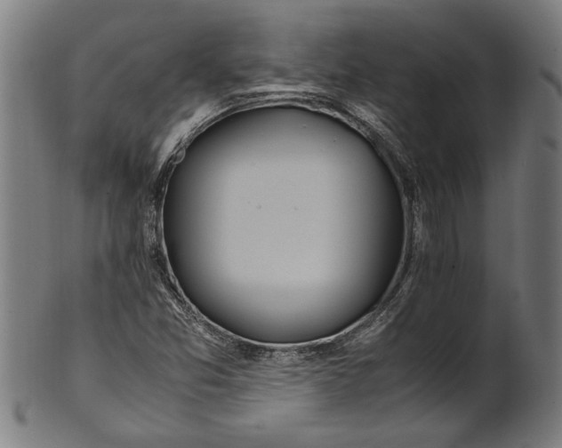 X0000100881357200807111332