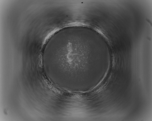 X0000100881358200807111332