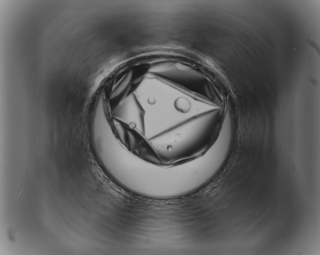 X0000100881360200807111332