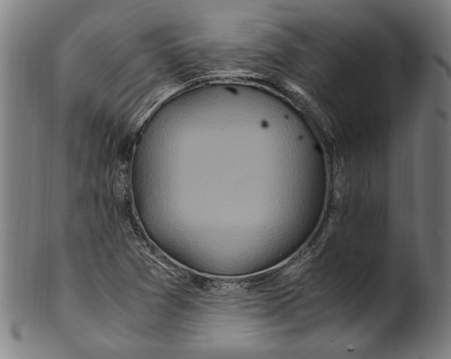 X0000100881361200807111332