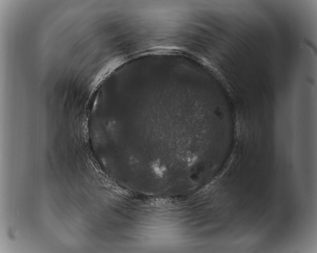 X0000100881362200807111332