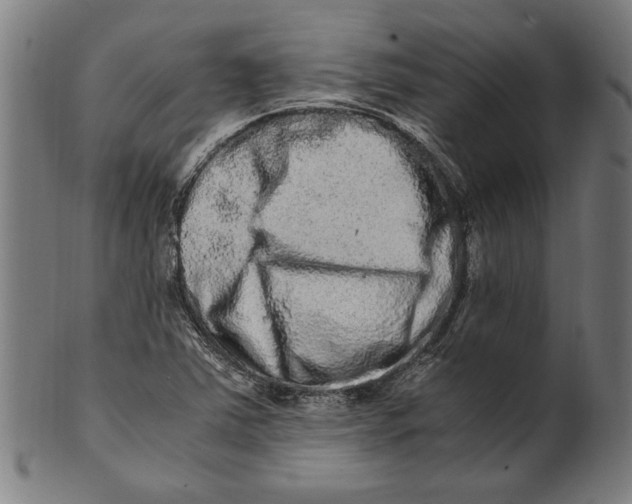 X0000100881363200807111332