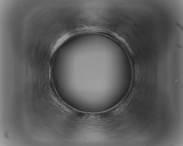 X0000100881365200807111332