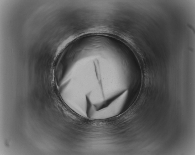 X0000100881366200807111332