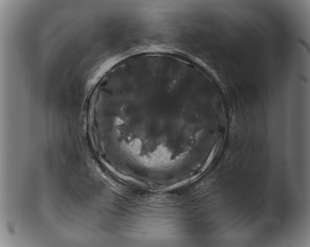 X0000100881367200807111332