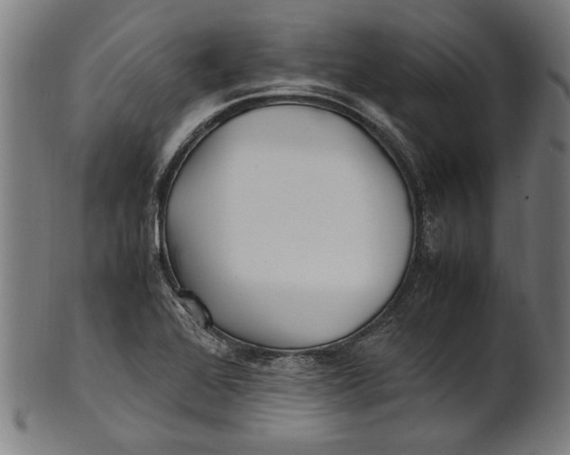 X0000100881368200807111332