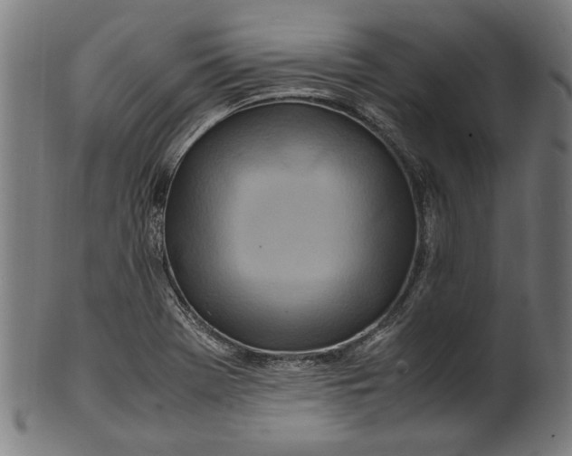 X0000100881369200807111332