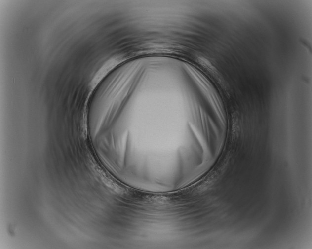 X0000100881370200807111332