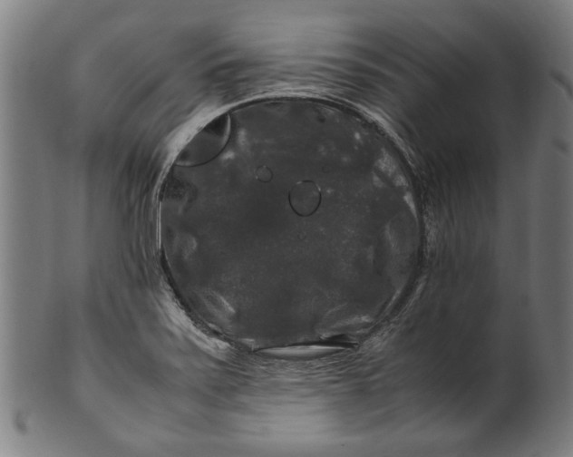 X0000100881371200807111332