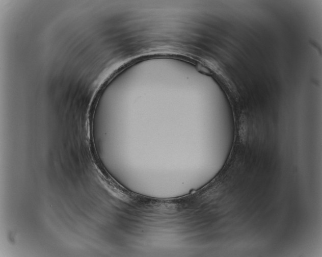 X0000100881372200807111332