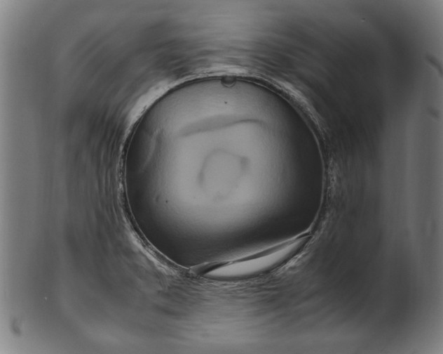 X0000100881373200807111332