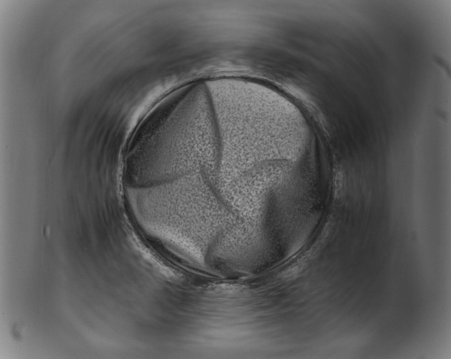 X0000100881374200807111332