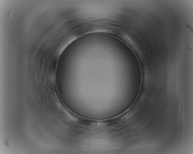 X0000100881377200807111332