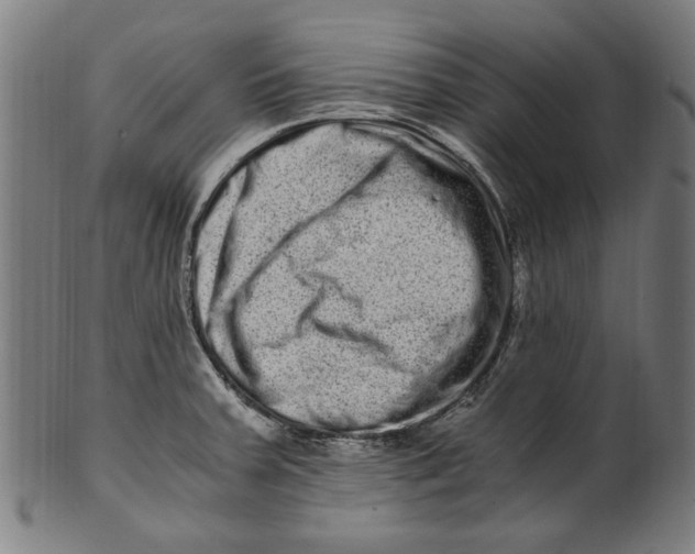 X0000100881379200807111332