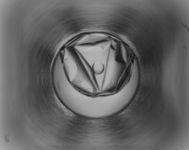 X0000100881380200807111332