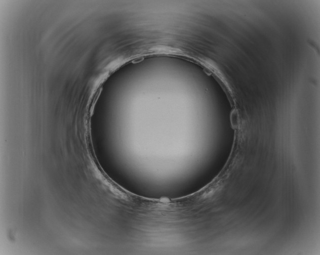 X0000100881381200807111332