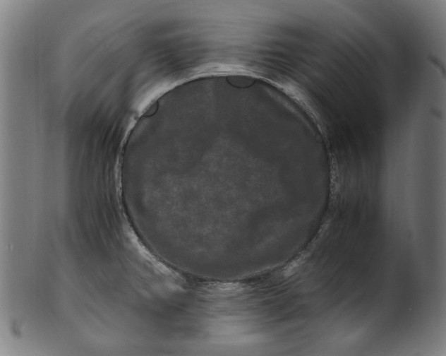 X0000100881382200807111332