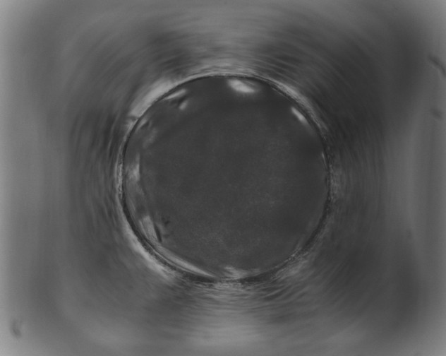 X0000100881383200807111332