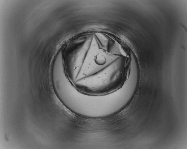 X0000100881384200807111332