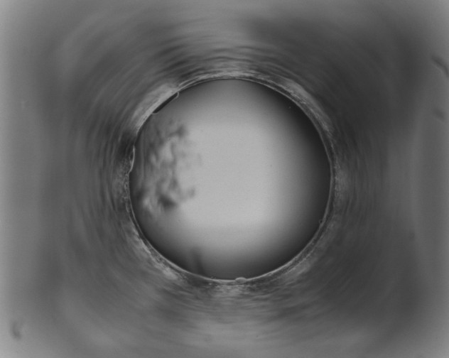 X0000100881385200807111332