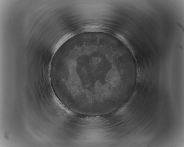 X0000100881386200807111331