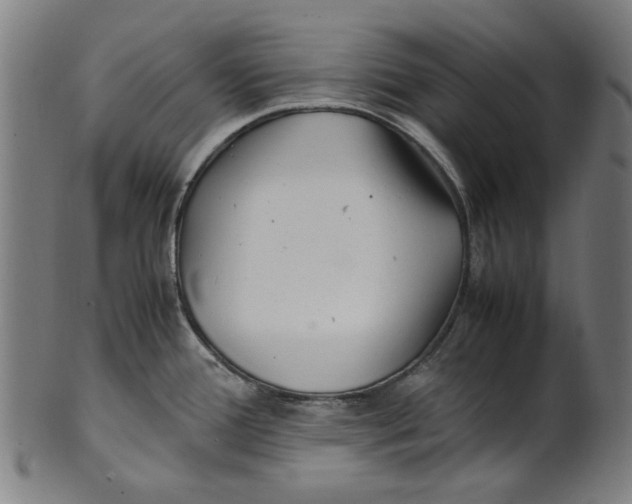 X0000100881388200807111331