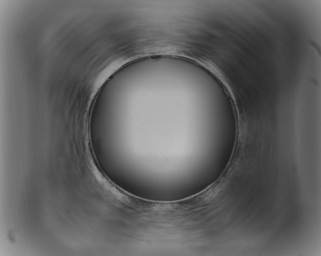 X0000100881389200807111331