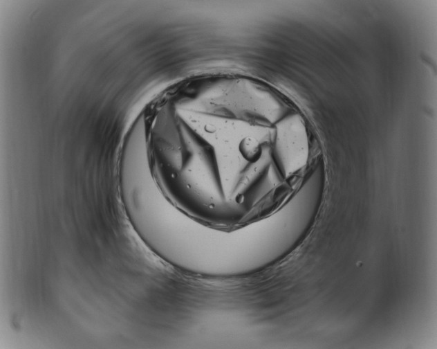 X0000100881392200807111331