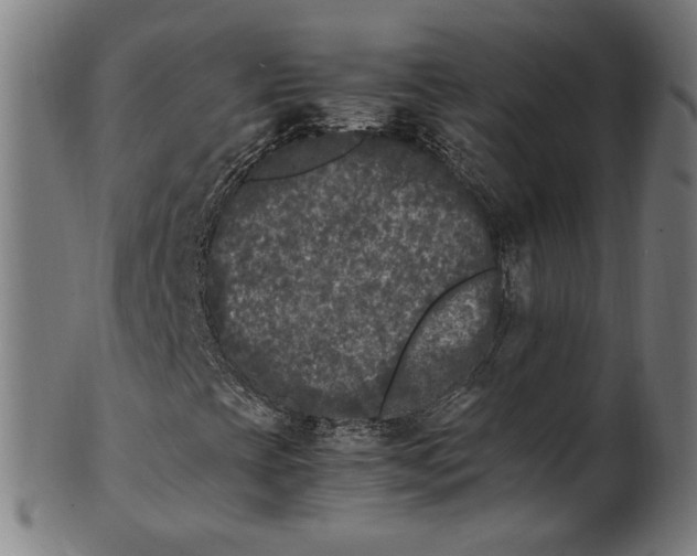 X0000100881393200807111331