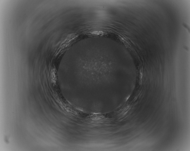 X0000100881394200807111331