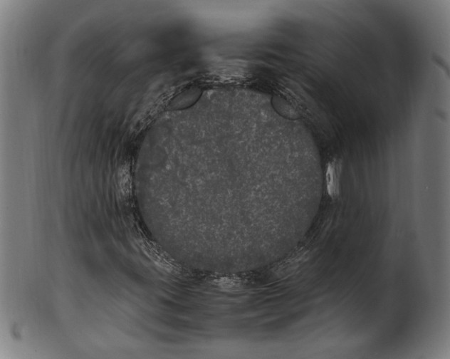 X0000100881395200807111331