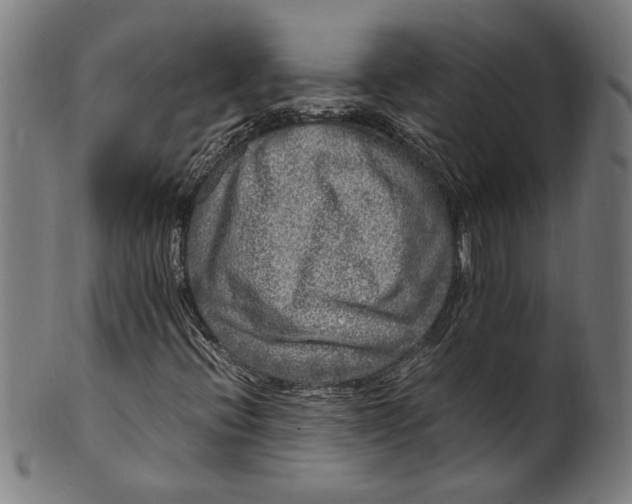 X0000100881396200807111331